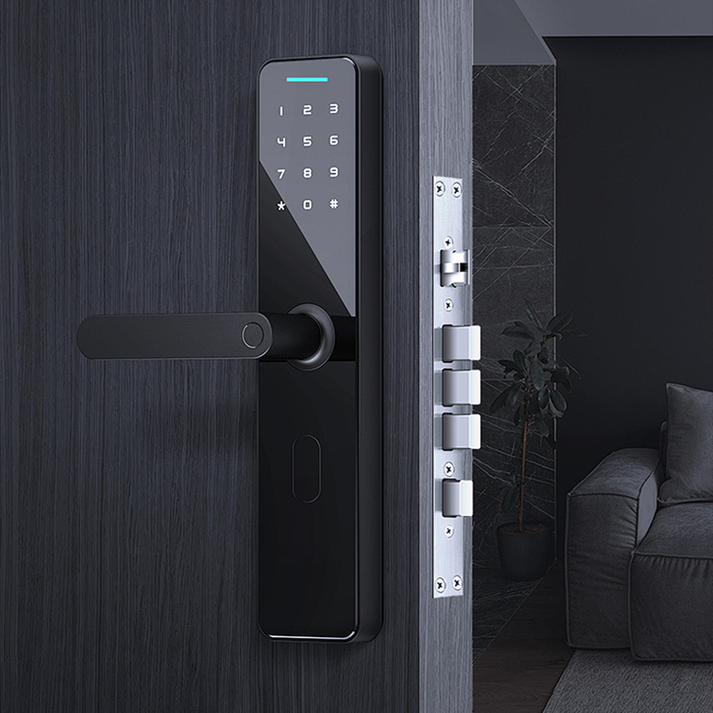 Electronic Password Porta clausum